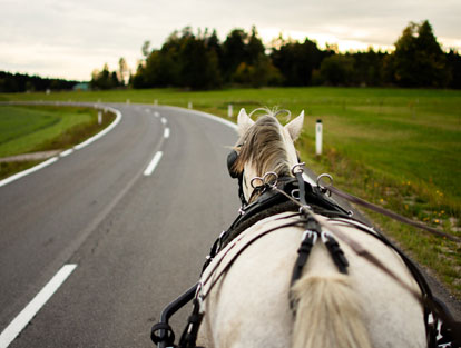 Kutschenfahren und Kutschfahrten buchen im Waldviertel am Kroneggerhof