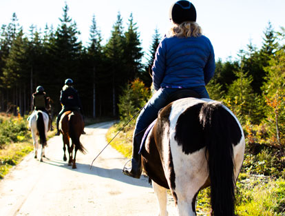 Wanderreiten im Waldviertel am Kroneggerhof in der wunderschönen Natur