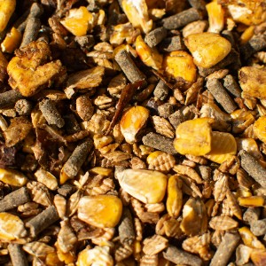 Combi Müsli Pferdenahrung kaufen am Kroneggerhof, SOLAN Vertrieb Waldviertel