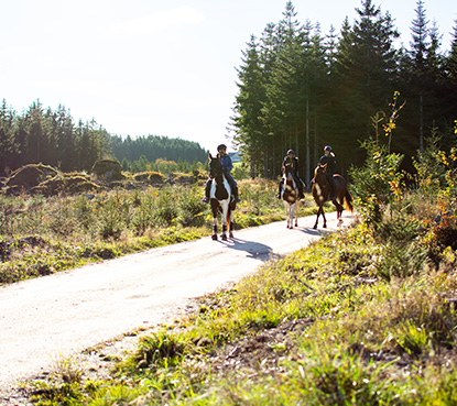 Wanderreiten im Waldviertel, direkt an der Grenze zur Mühlviertler Alm, 700 km markierte Reitwege